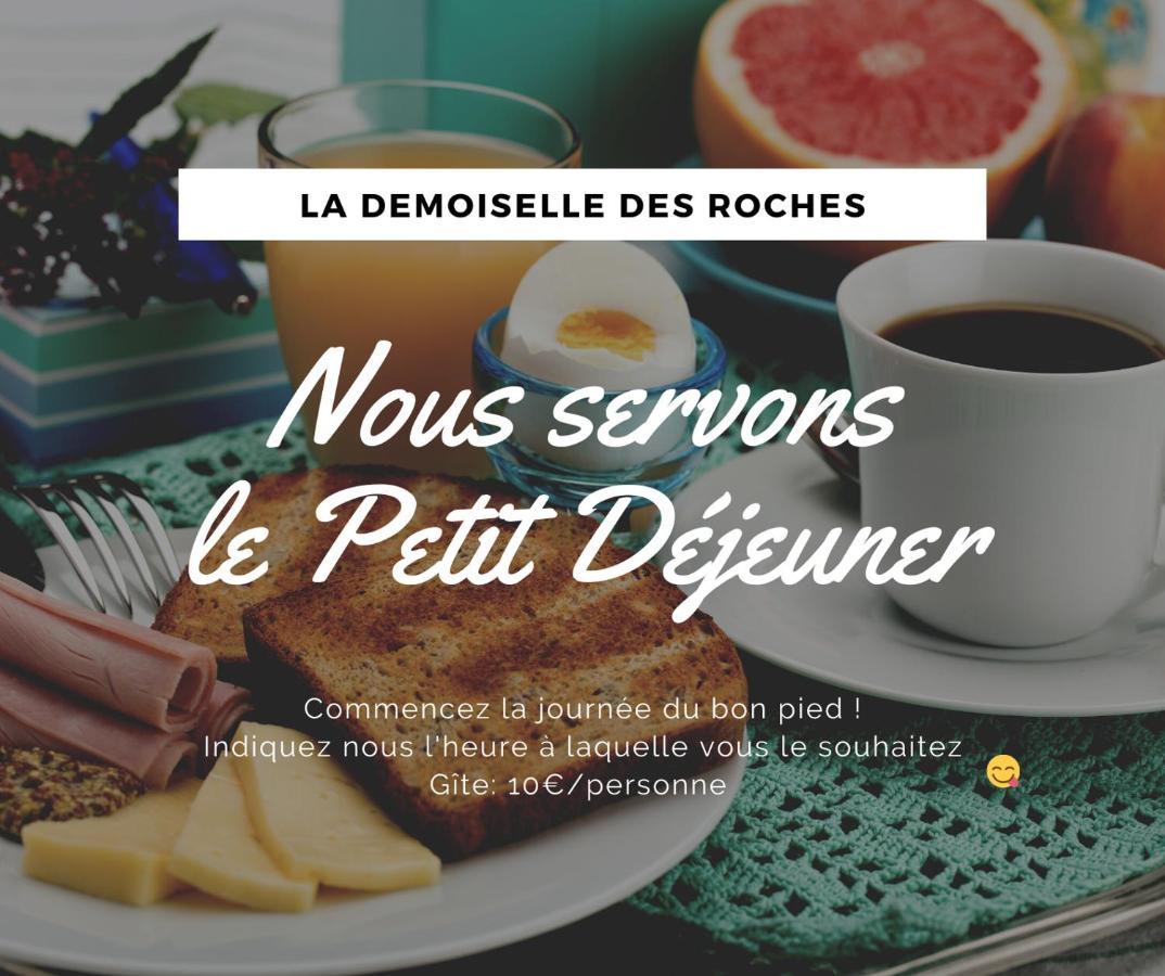 Demoiselle Des Roches Διαμέρισμα Ramonchamp Εξωτερικό φωτογραφία