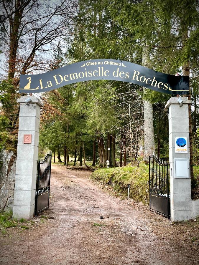Demoiselle Des Roches Διαμέρισμα Ramonchamp Εξωτερικό φωτογραφία